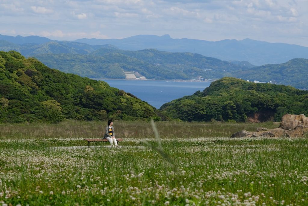 【AI予想】奈良県産はちみつ特別A2（園田）出走馬分析・注目馬と見どころ
