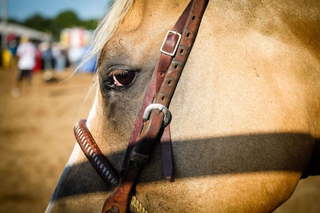 きさらぎ賞勝ち馬ゾロアストロが肺出血でダービー登録見送り