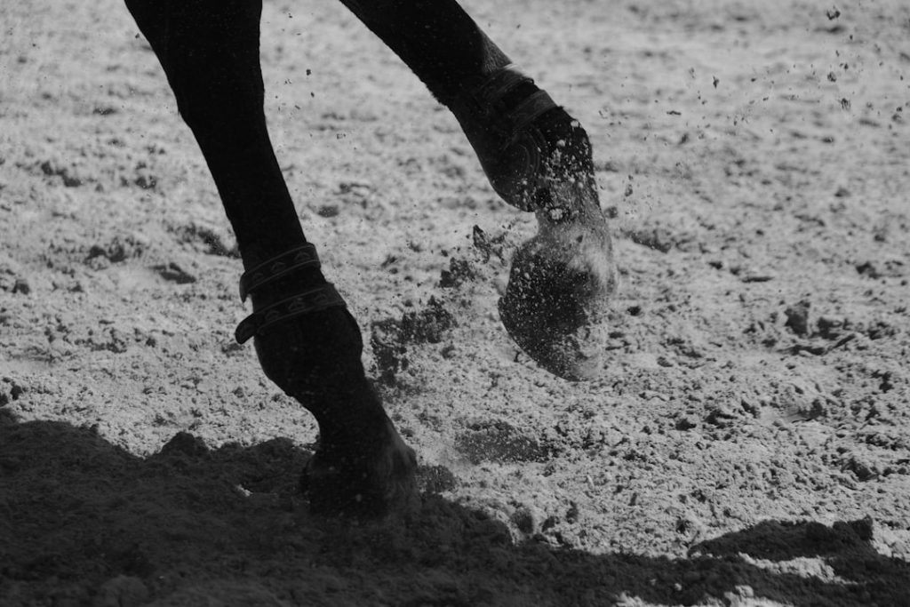 平安S ナルカミ重賞で砂のダービー馬が復活