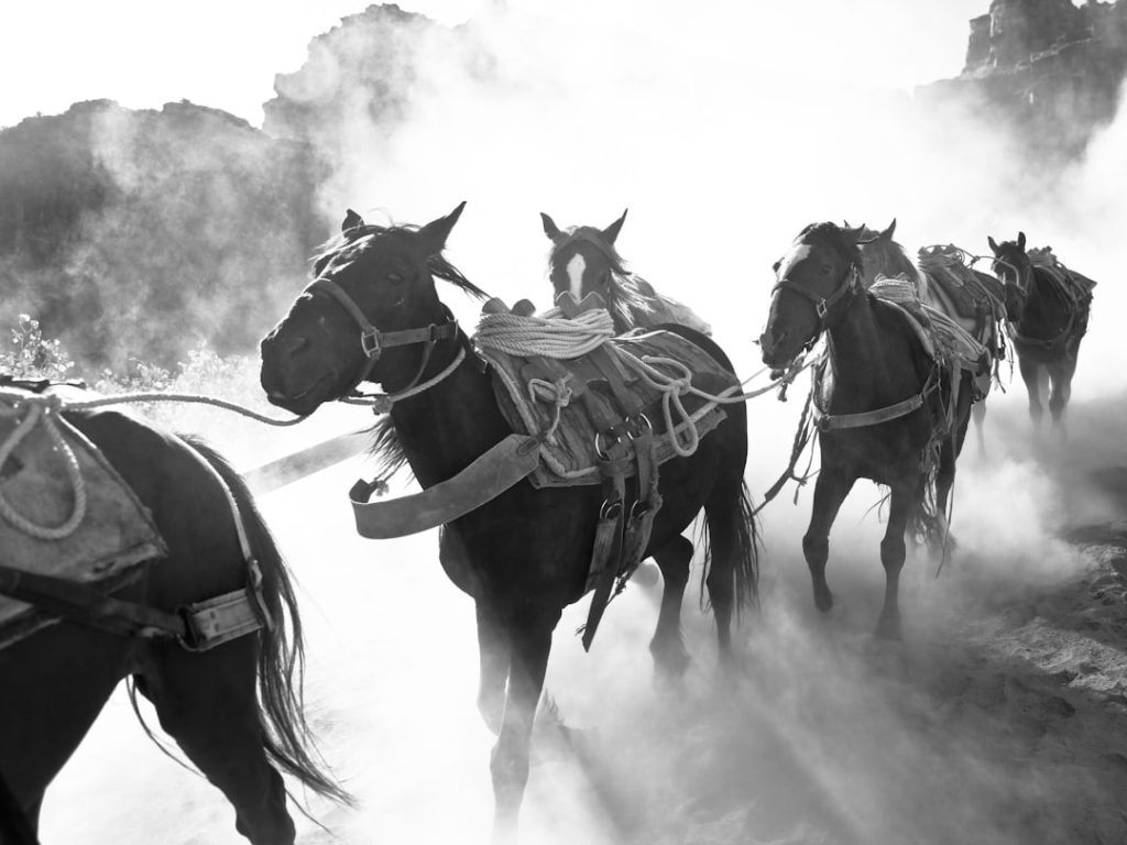 競馬と野球の150年の絆―JRA競馬博物館企画展