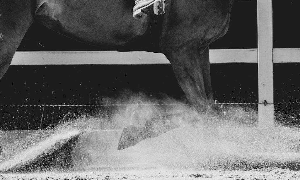 大井競馬シャベス騎手の通信違反と騎乗拒否処分