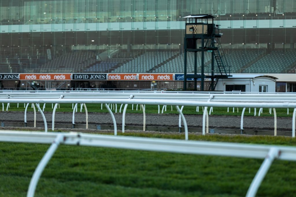 大井競馬 エリオネ・シャベス騎手 調整ルーム不正通信で処分