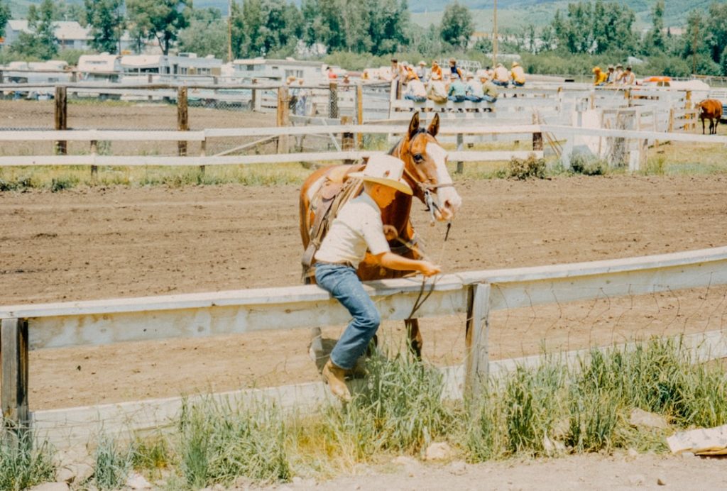 ゴージャスジョージ伝説：競馬史に名を刻んだ英雄の軌跡