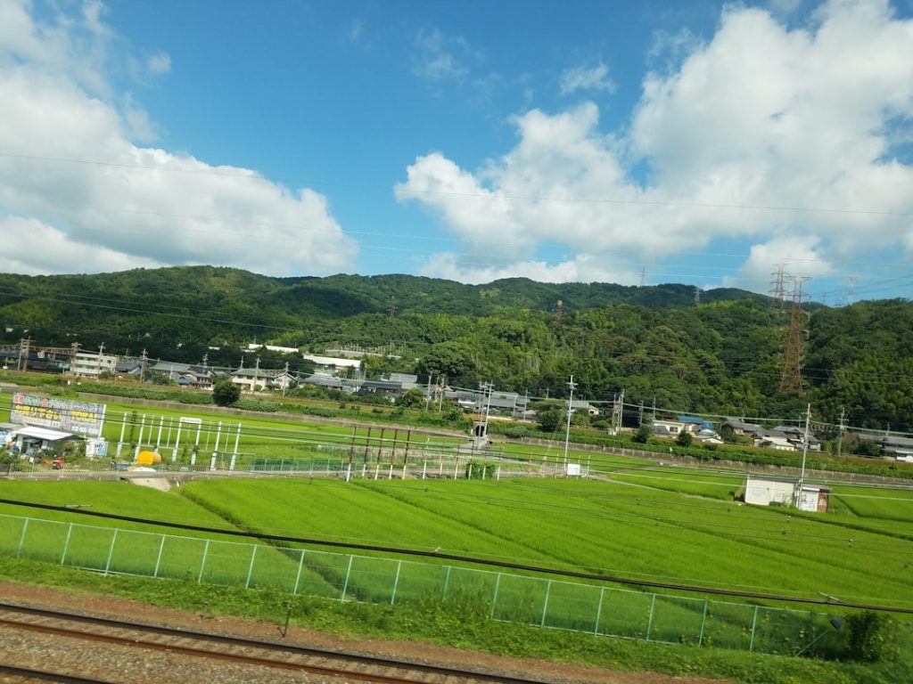 オークス2026牝馬重賞レース展開分析
