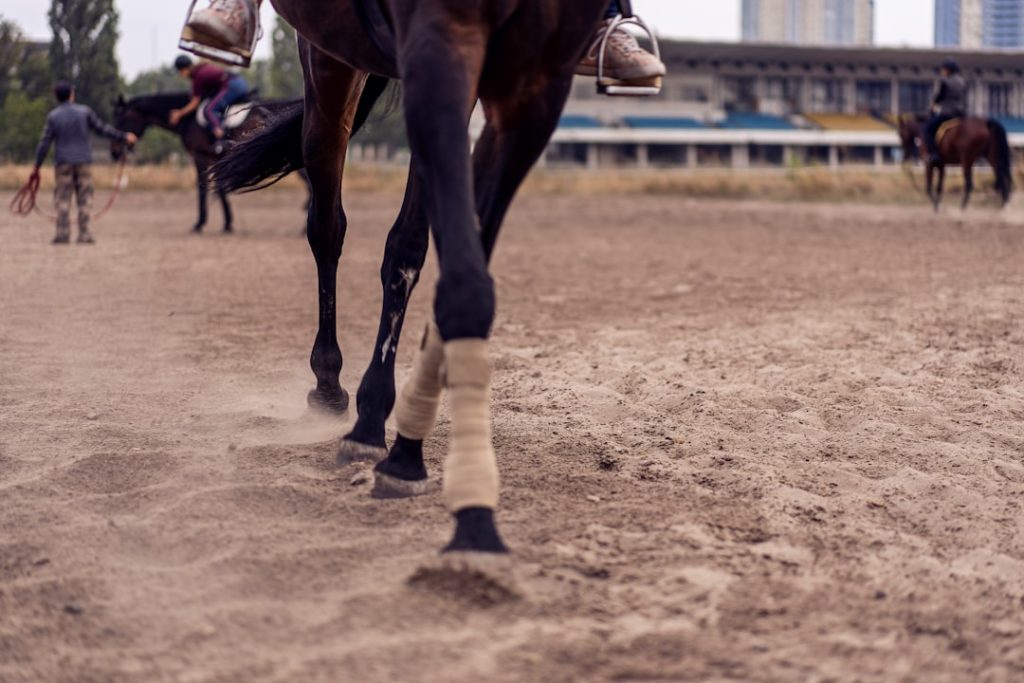 JRA馬券コピーサービス終了、6月21日で廃止へ