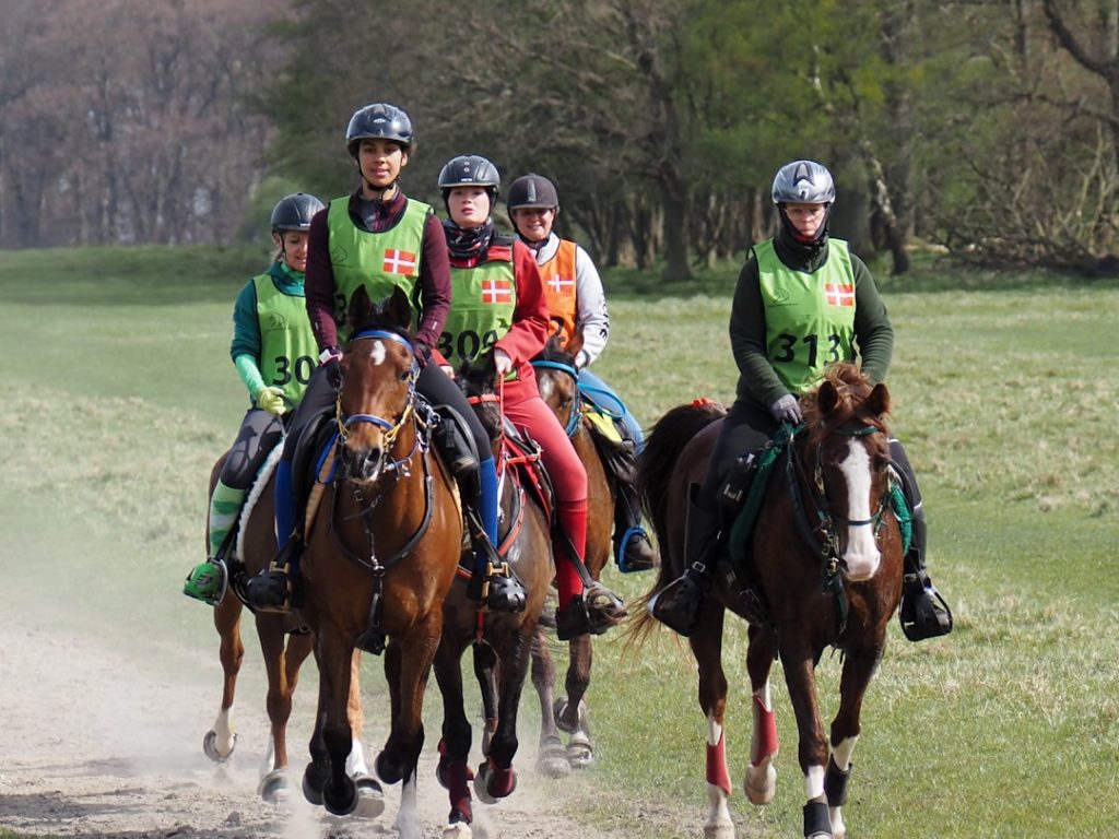 オークス優勝馬ジュウリョクピエロ　今村聖奈騎手が語る強さ