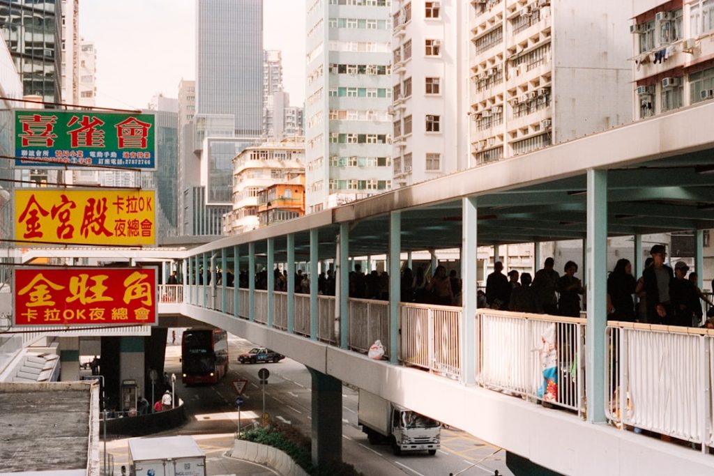 香港カップG1に挑む日本馬の出走態勢