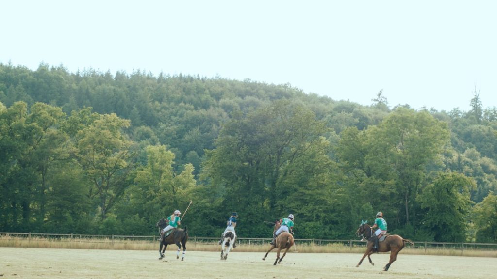 ウイニング競馬JRA競馬情報2026年5月放送予定