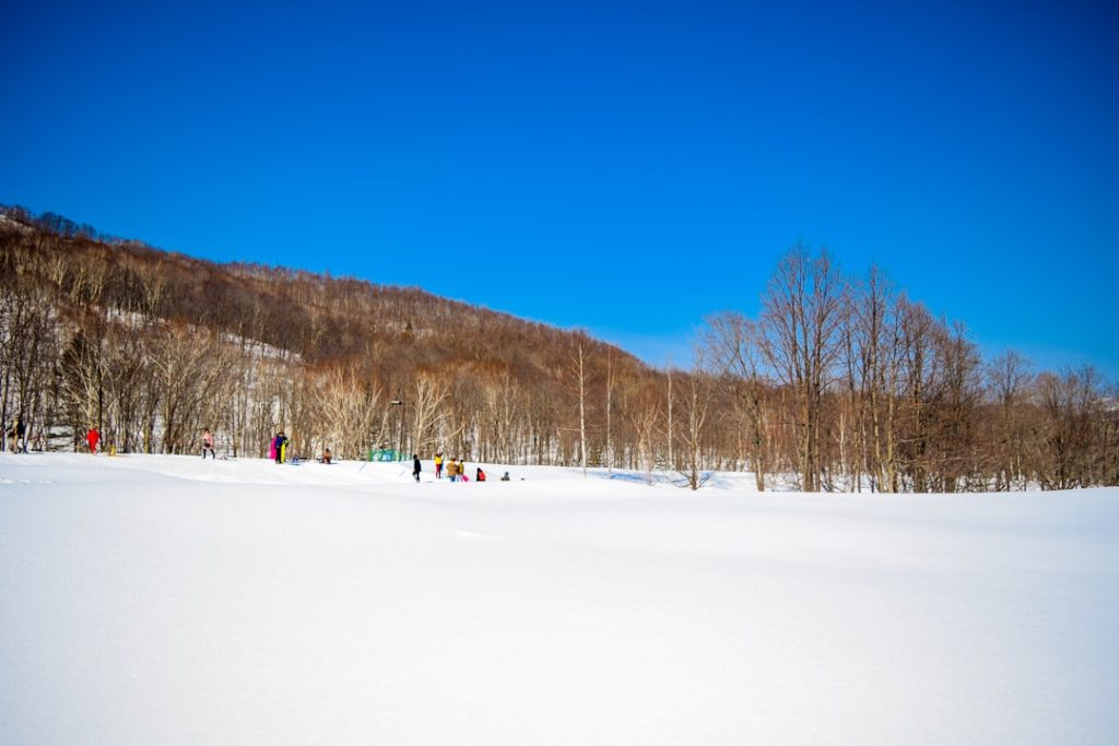 北海道夏シリーズJRA交互開催検討