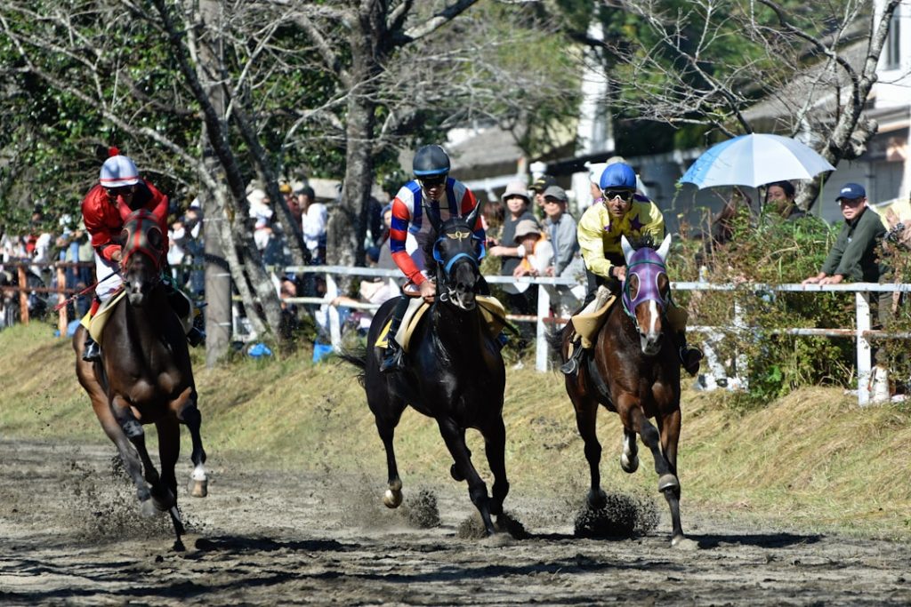 地方競馬中継グリーンチャンネル金沢レース