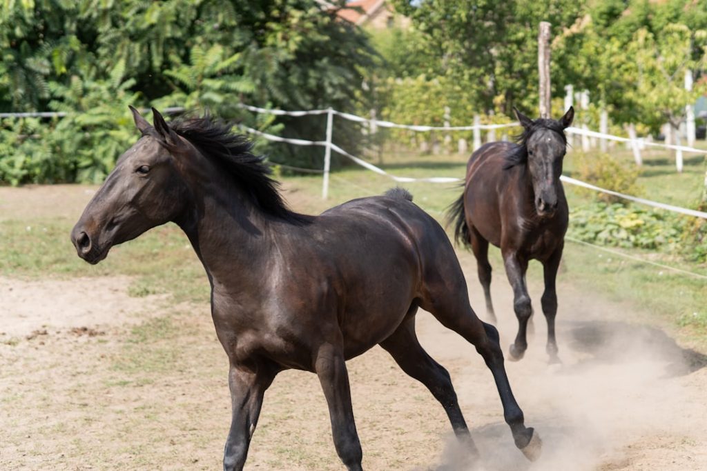 ヴィクトリアマイルAI予想の穴馬と高配当買い目