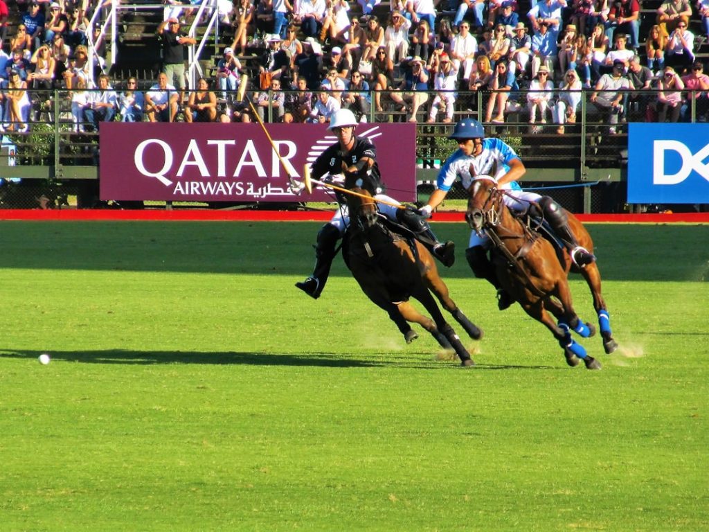 2026年5月16日の競馬レース予想ガイド