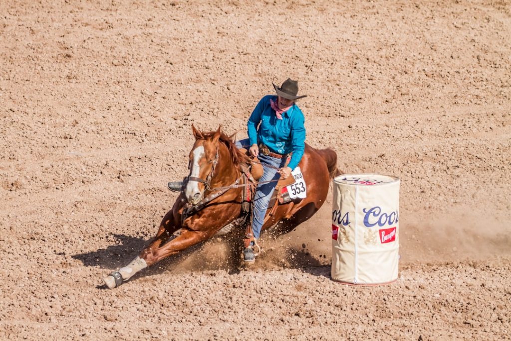 サテライト石狩が女性向け見学会、競馬の新規ファン層開拓へ