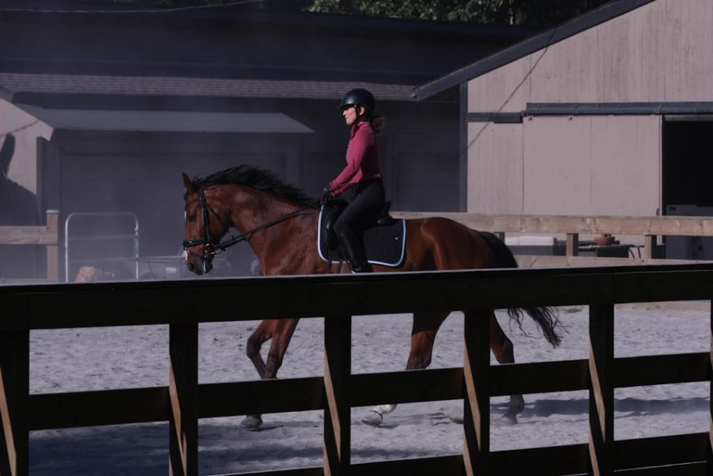 2026年上半期競馬、新世代スター誕生でクラシック戦線激化