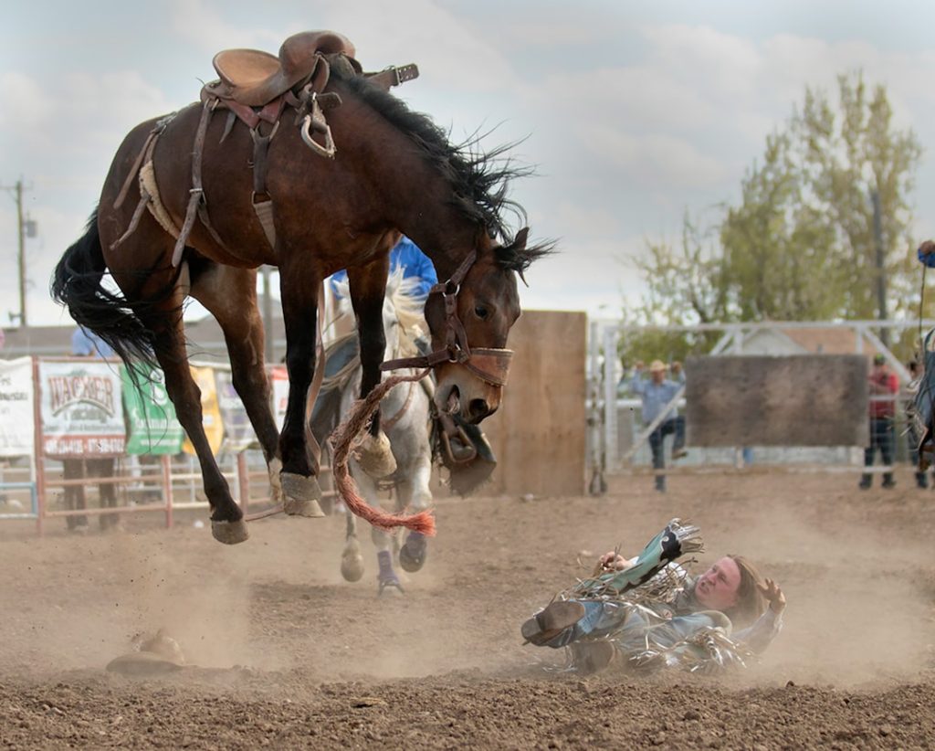 ダンツエラン青函Sへ、ファンタジーS制覇馬が滞在競馬で始動