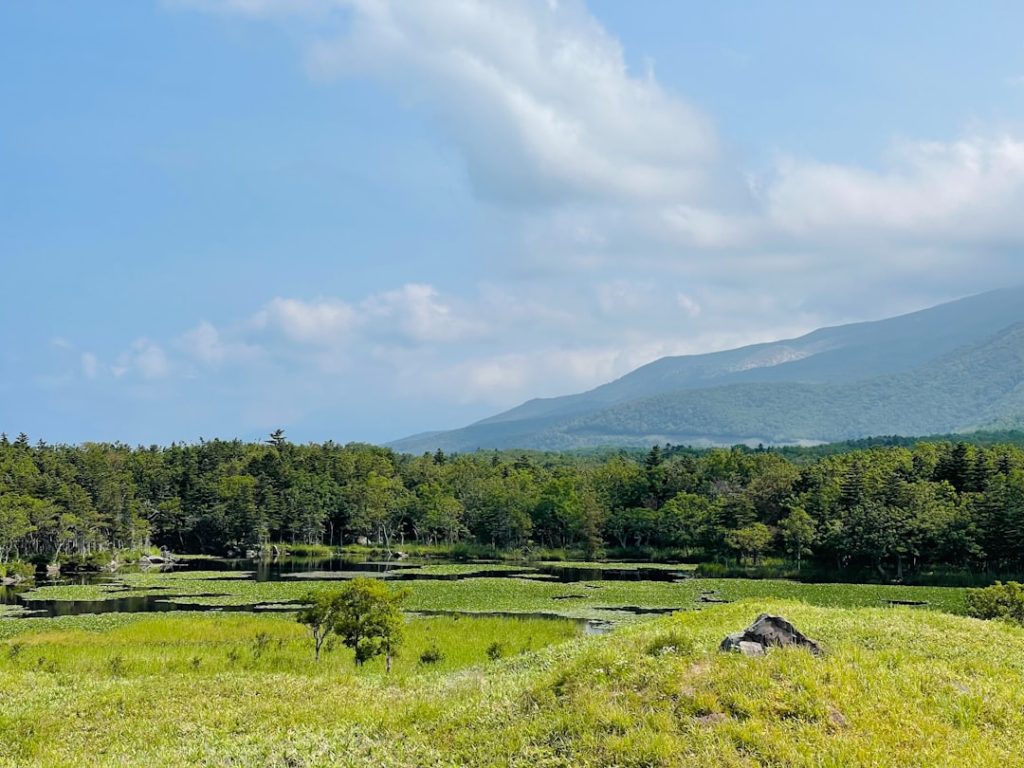 【AI予想】北海道野菜王国にったん特別(C4)（門別）出走馬分析・注目馬と見どころ