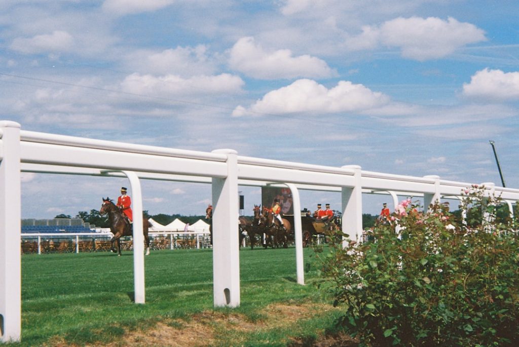 競馬SNS時代の単勝馬券が急増、推し馬シェアが需要を牽引
