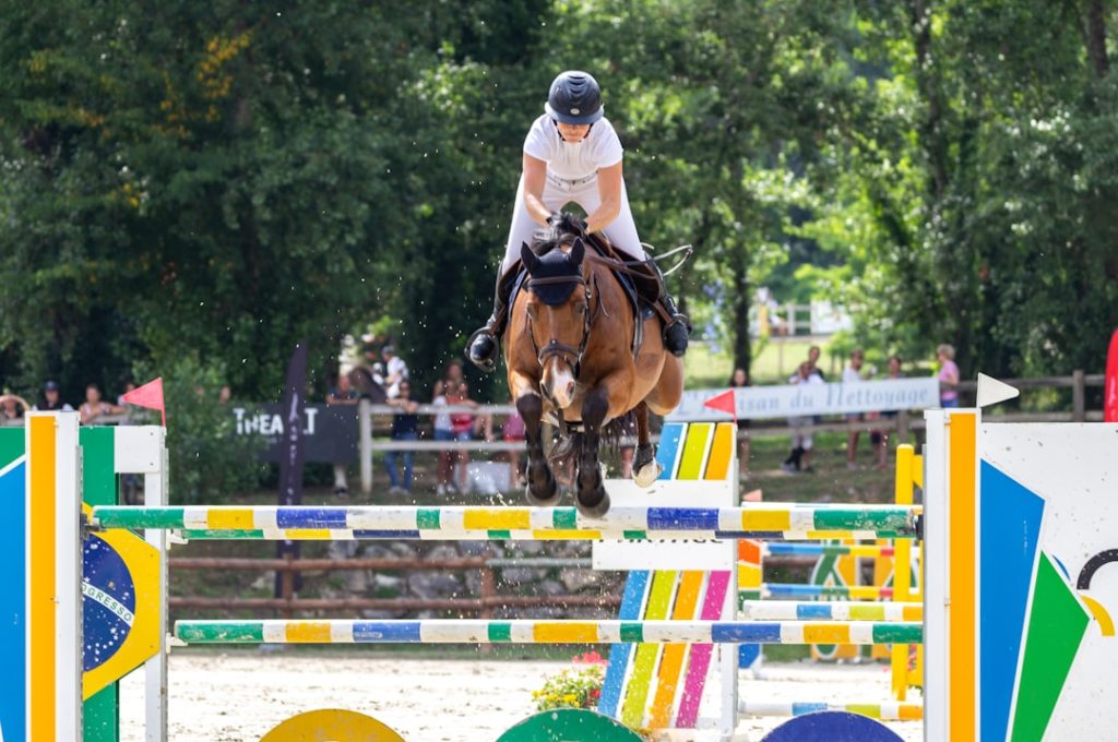 ジャンタルマンタル引退、マイルG1完全制覇で種牡馬へ