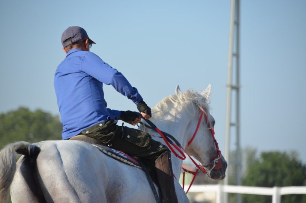 トラッキングシステム対象競走拡大JRA