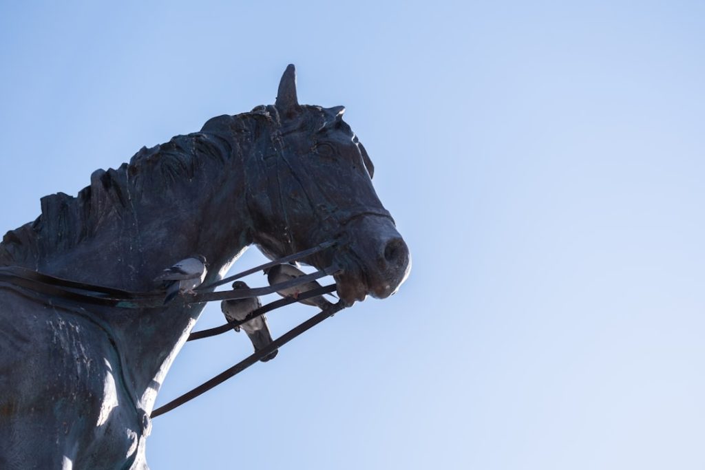 武豊騎手が語る函館記念の伝説と競馬哲学