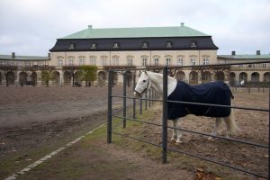 レガレイラ、宝塚記念リベンジへ阪神競馬場に到着