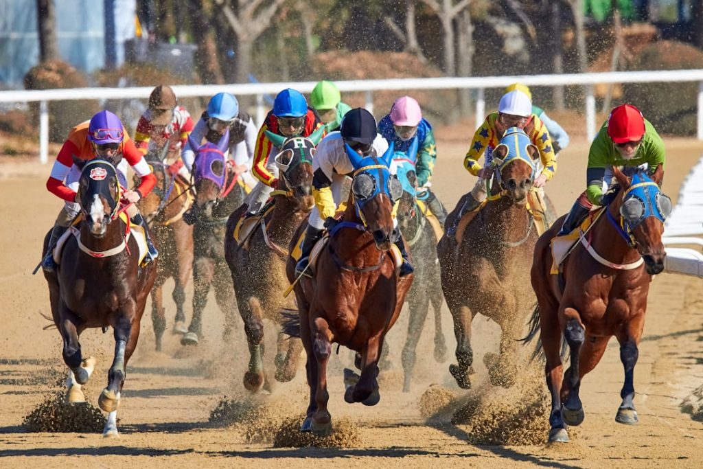 ロイヤルアスコット2026ゴールドカップ、世界の長距離馬が集結