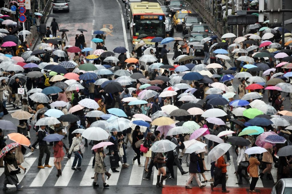 【AI予想】七変化雨彩特別(A)（名古屋）出走馬分析・注目馬と見どころ