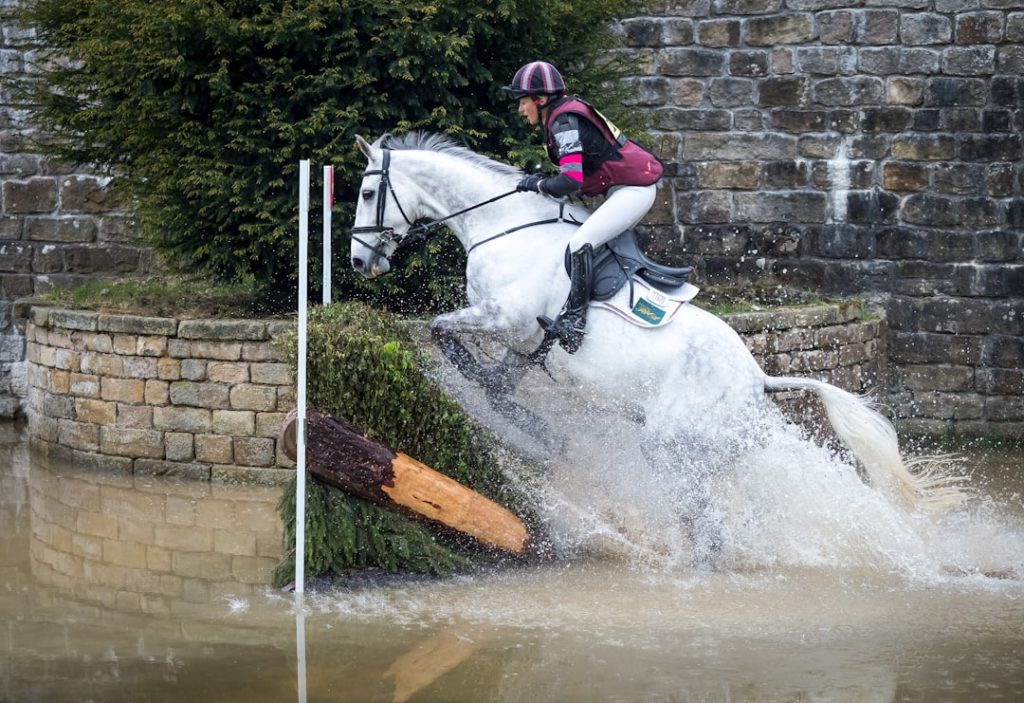 武豊騎手、ロンシャン競馬場の雨質に言及