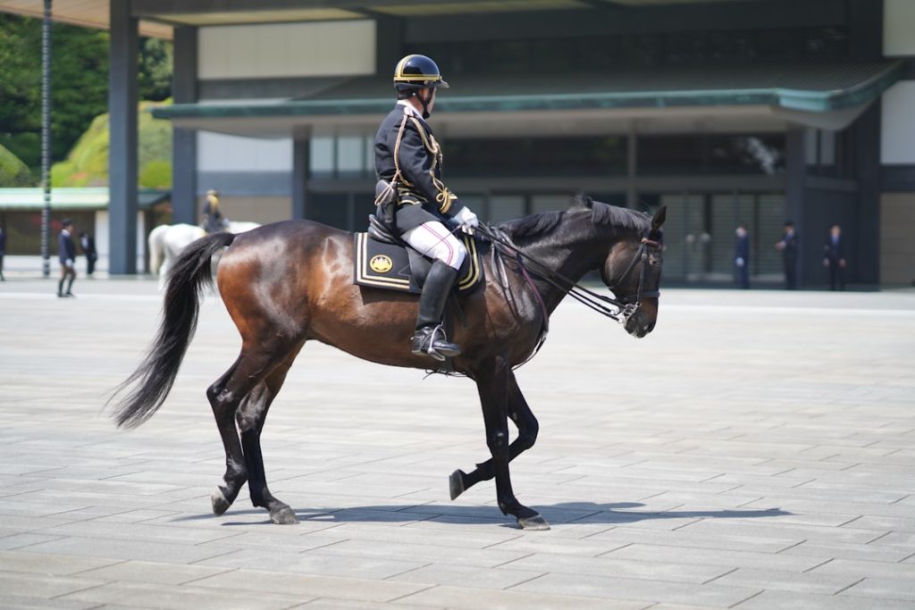 佐々木世麗と塩津璃菜、阪神アーバン競馬で明暗分かれる