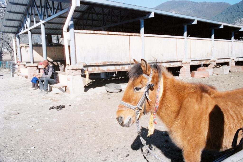 福島路ビール29年、震災乗り越え競馬ファンに愛され続ける