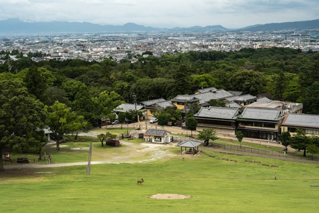 【AI予想】加賀友禅賞【読売レディス杯トライアル】

重賞（金沢）出走馬分析・注目馬と見どころ