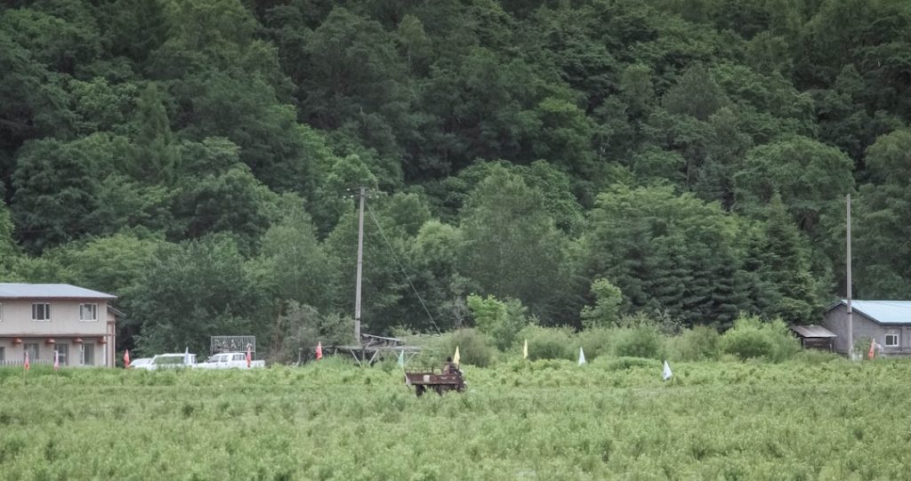 福島競馬夏開催閉幕、入場者・売上が前年増