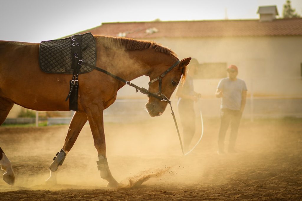 猛暑時代の競馬経営　ナイター競馬も検討課題に
