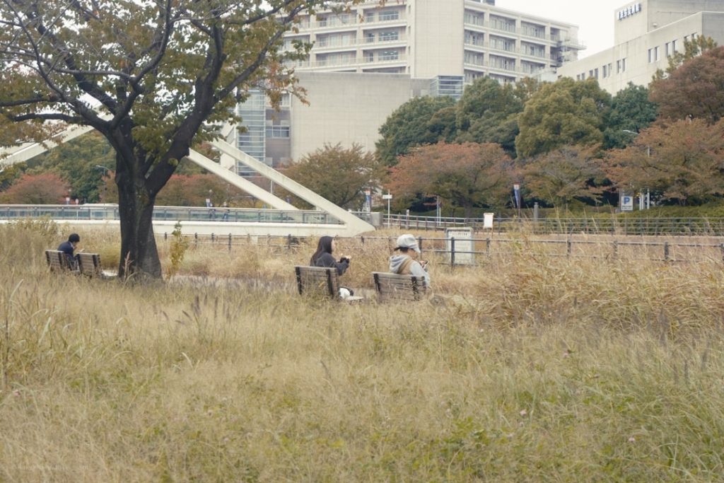 東京競馬場で名馬ぬいぐるみが人気、イクイノックスが上位