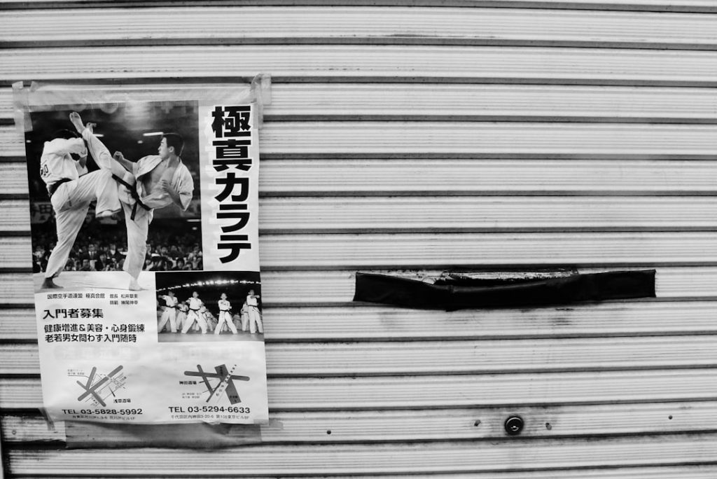 北海道新聞杯QS、出走馬情報公開