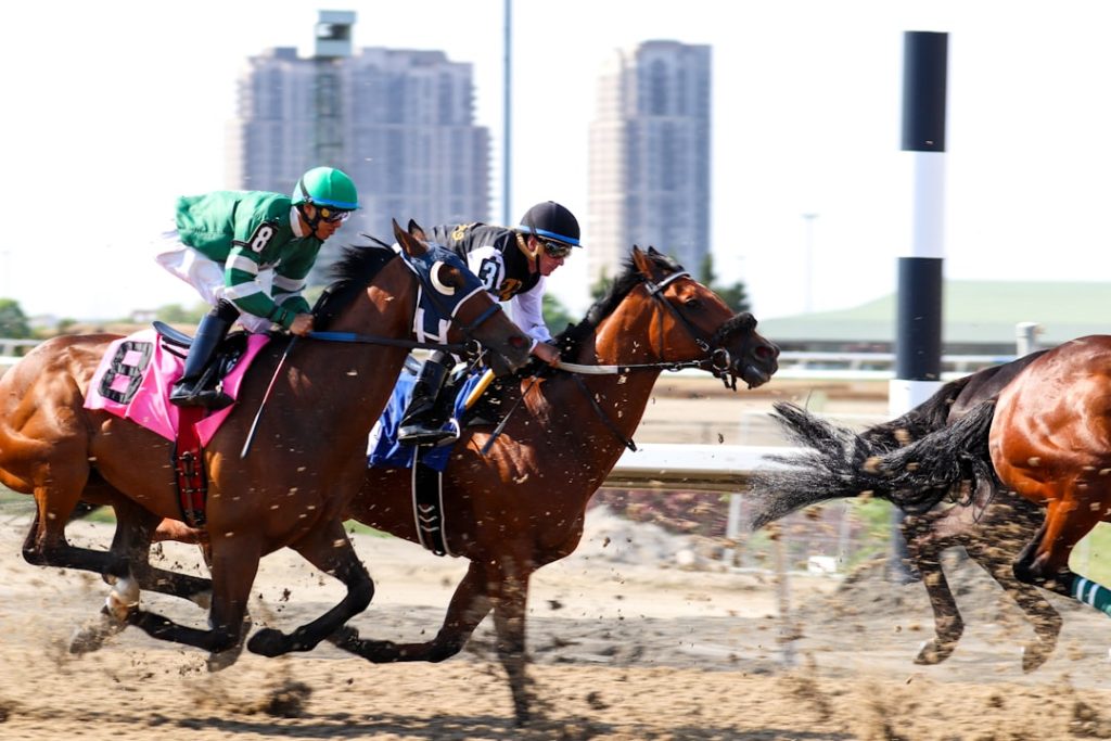 片目のサラブレッド、競馬場デビュー実現