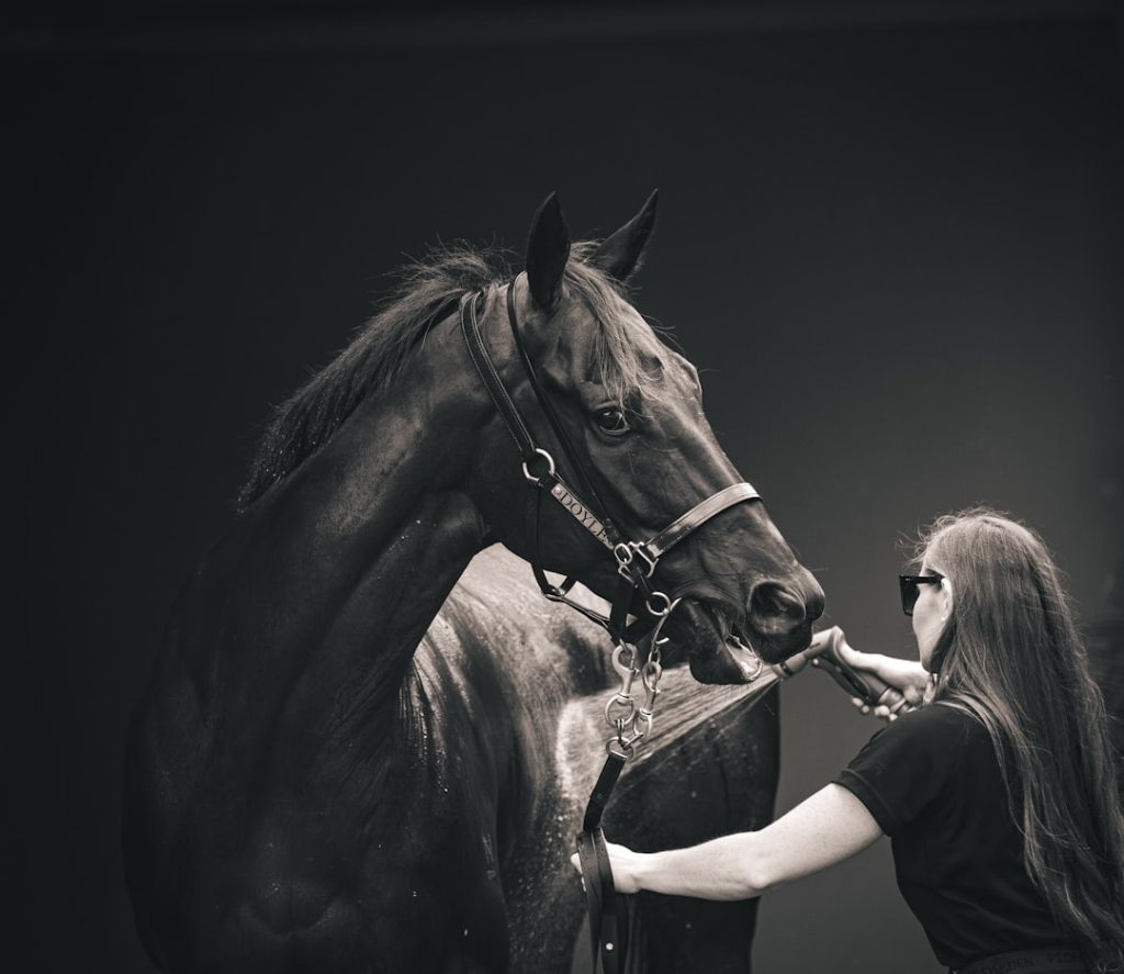 アダムスアップル盆踊り賞V、船橋競馬で制覇
