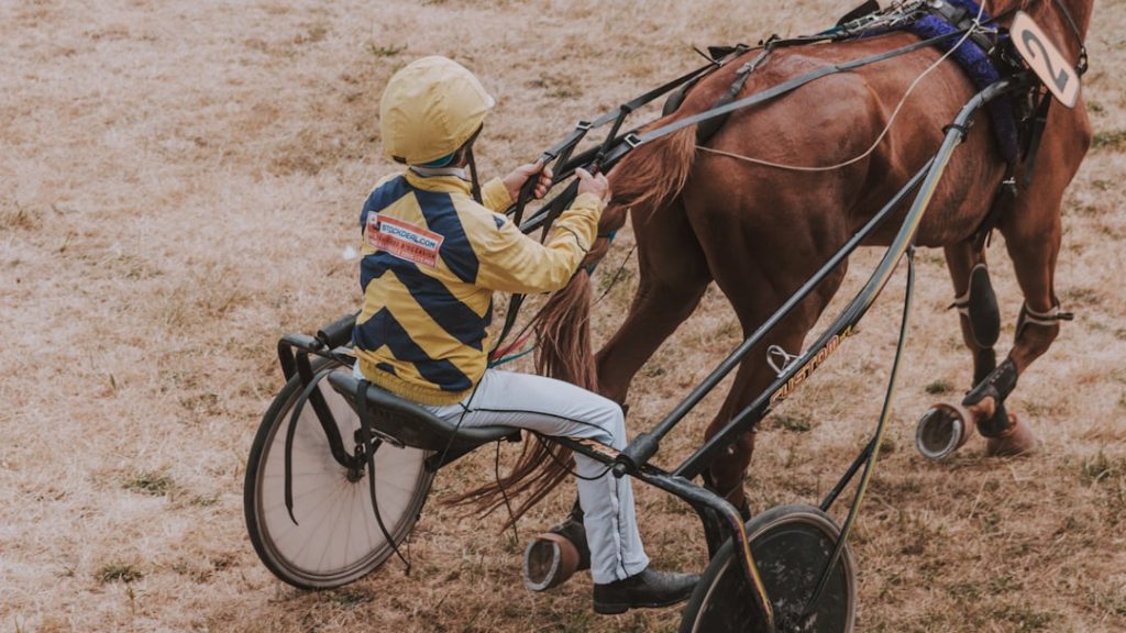 クイーンSの逃げ馬エリカエクスプレス、敗因は2つ