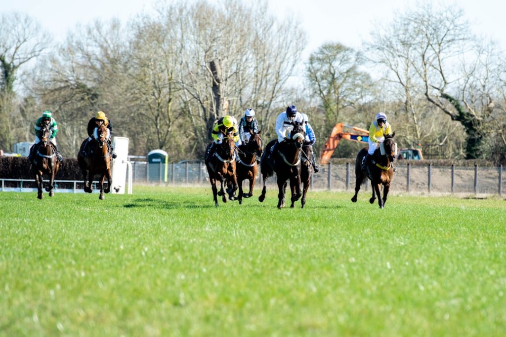 麻雀由来の珍名馬、デビュー戦で一発勝利