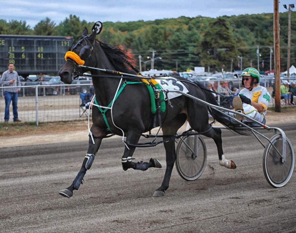 エルムS登録馬、ナチュラルライズら14頭