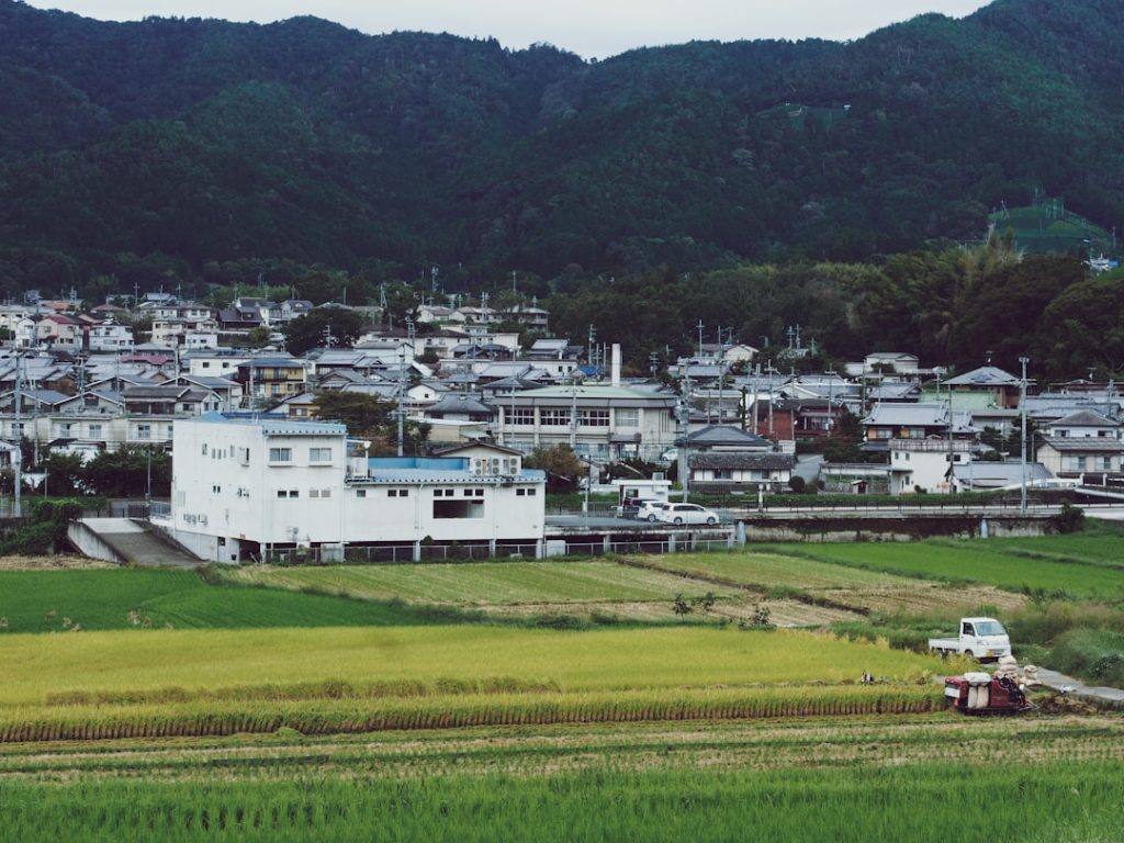 盛岡競馬R8第5回後半の走路状況