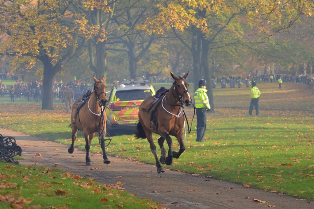 英競馬、ジョッキークラブが脱退し新団体設立へ