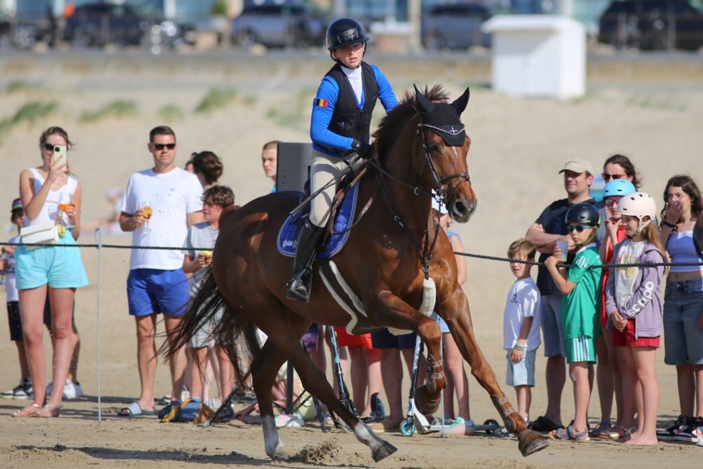 米競馬3冠が解体へ、新6戦シリーズ創設