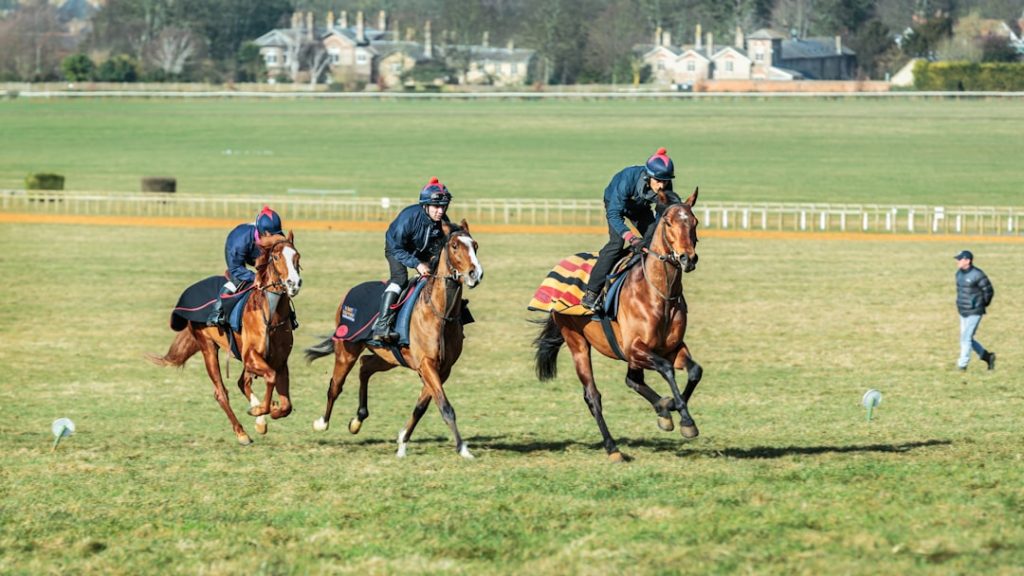 米競馬の年間王者決定、新シリーズ制度開始