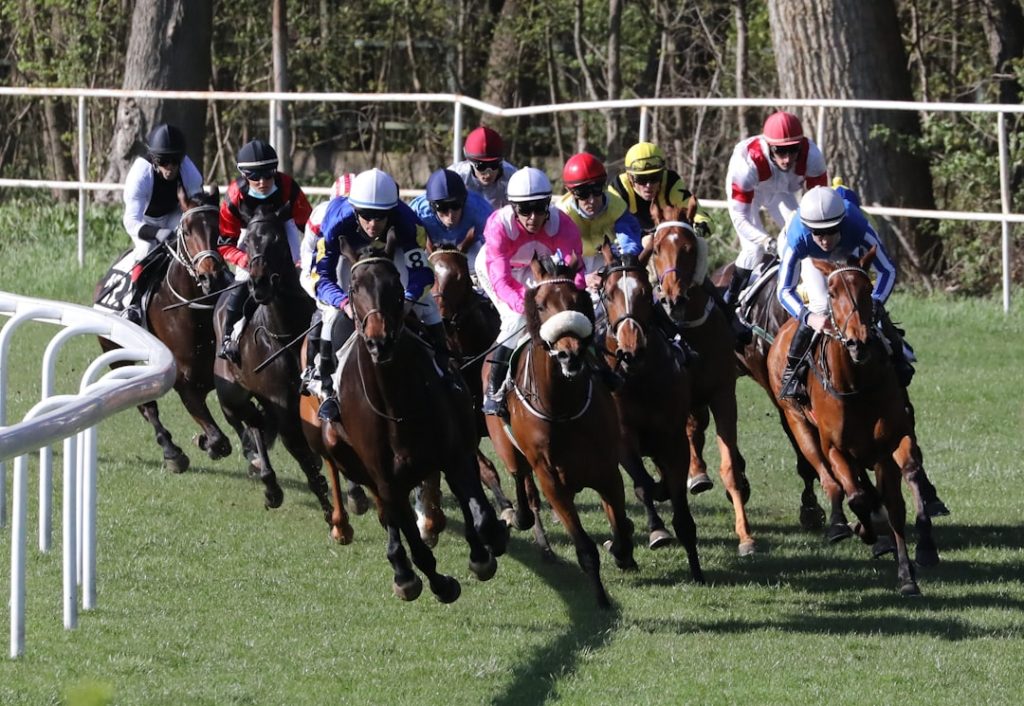 米競馬、伝統の3冠廃止へ 新6戦シリーズ創設