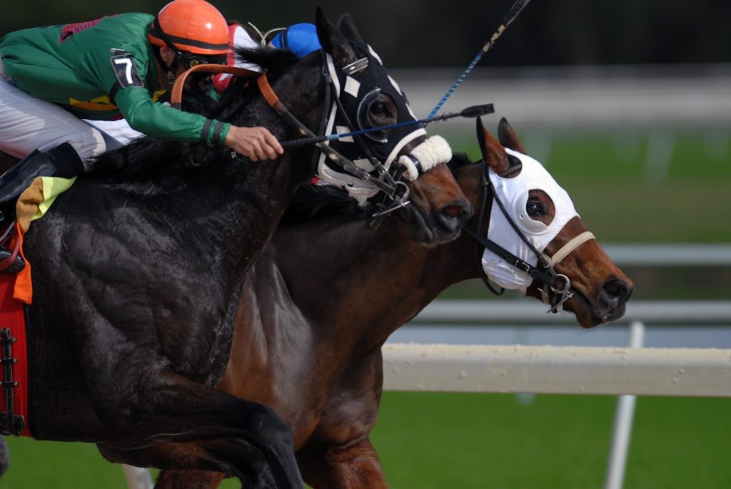 ダノンワンナップが末脚で制す 園田競馬近畿畜産特別