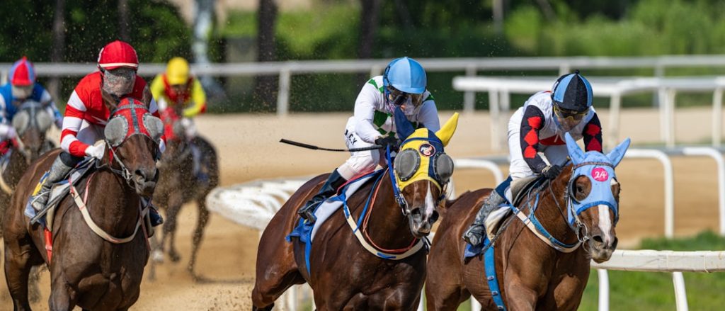 競馬記者を1日体験、木村哲也調教師に取材