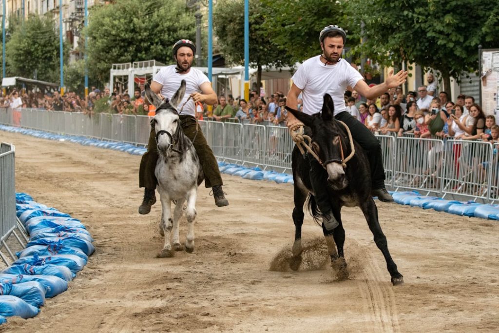 エートラックス、地方競馬へ移籍