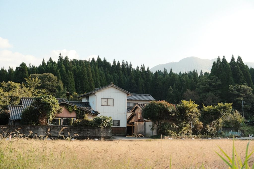船橋競馬、売得金で熊本支援