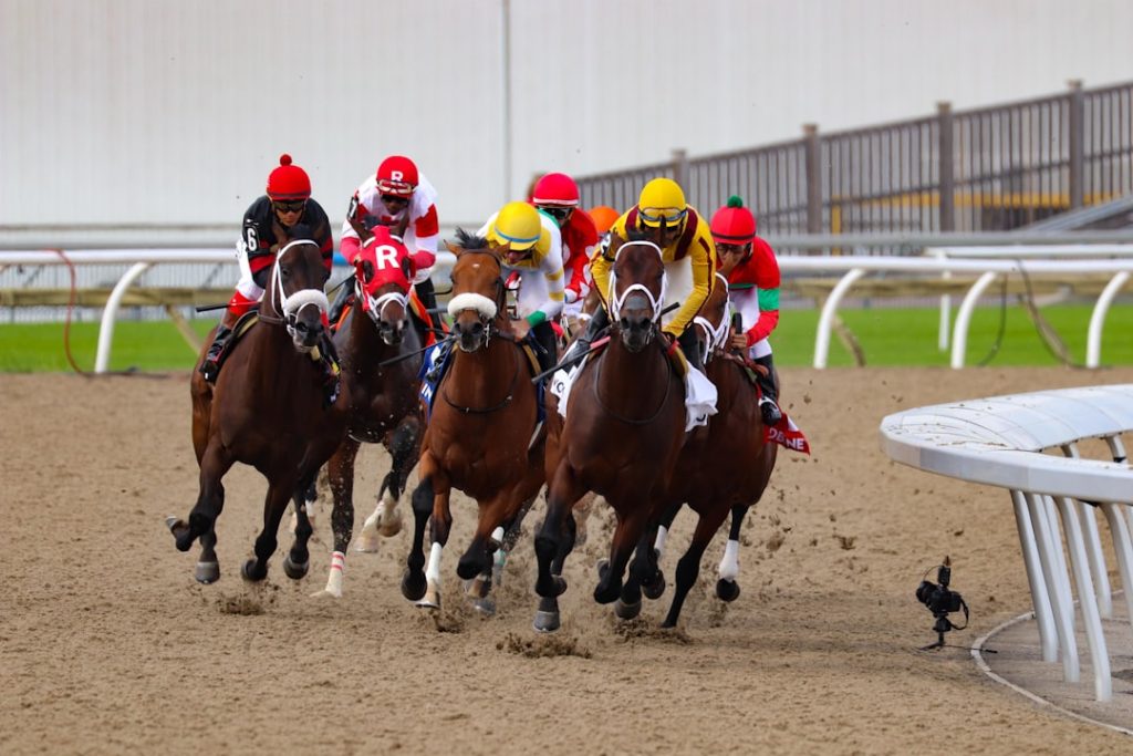 宮本調教師の挑戦、競馬の価値を超える